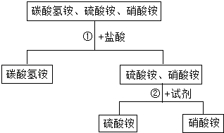 化肥碳酸氢铵最新价格动态解析