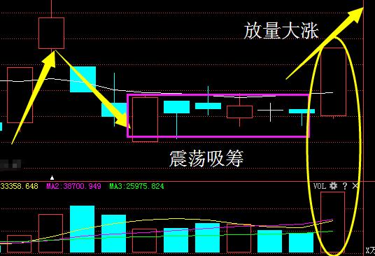 顺泰钨业引领行业变革，塑造未来钨业新生态的最新消息