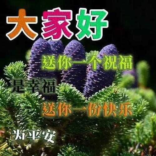 梦境追逐 第4页