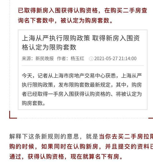 上海政策最新动态解读，今日消息深度剖析与未来影响展望