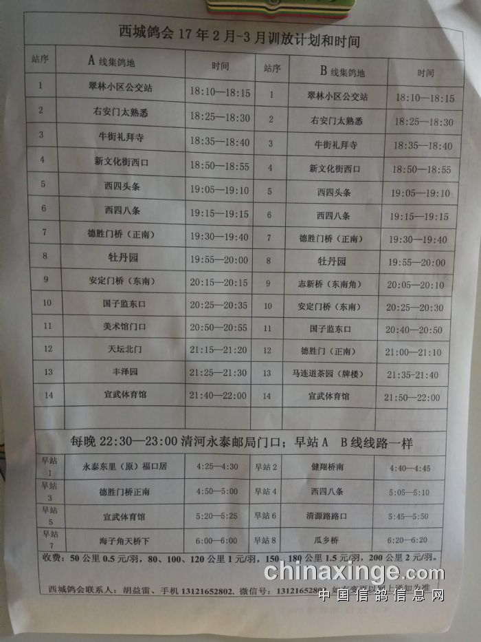 最新郊100时间表，开启城市周边出行新篇章