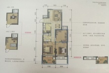 东郡红树湾最新房价动态，深度解析及前景展望