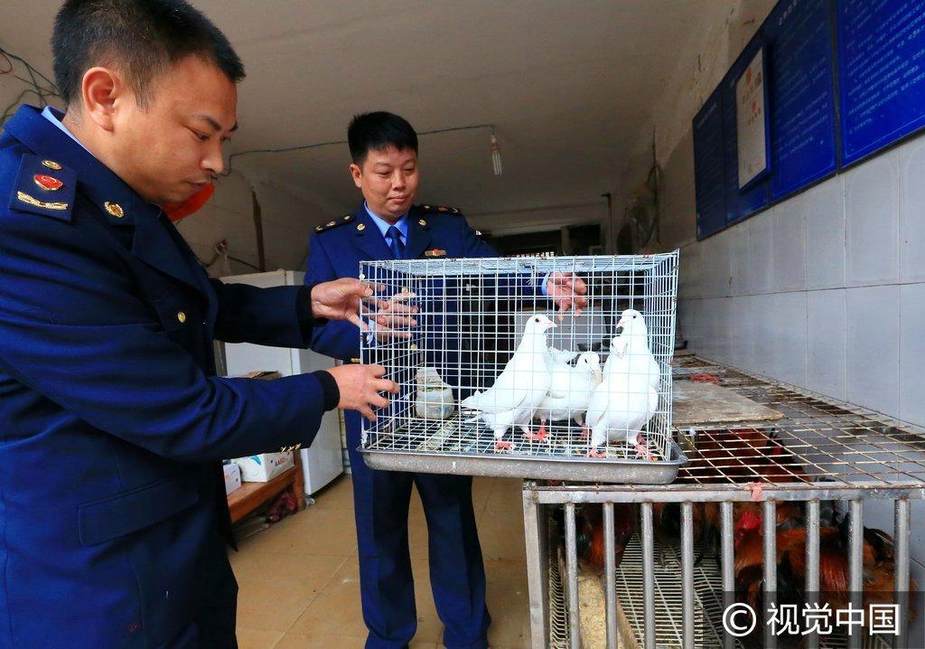 遂宁H7N9最新动态，全面防控措施实施，保障民众健康安全