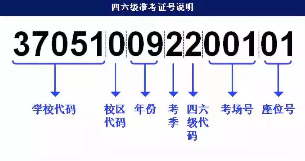 2024香港正版资料免费看,快捷问题解决方案_1440p128.118