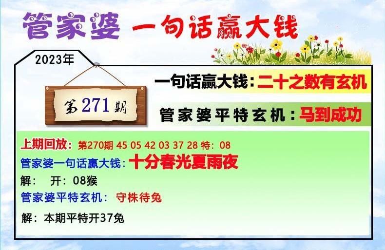 202管家婆一肖一码,最佳精选解释落实_开发版38.224