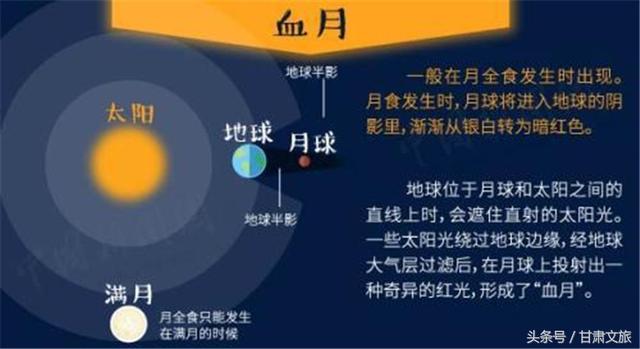 2024新奥今晚开什么213期,安全解析策略_7DM67.808