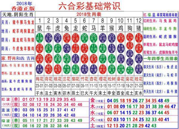 2024最新奥马免费资料生肖卡,深层数据分析执行_V211.321