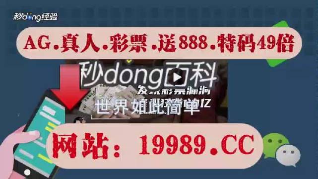 2024新澳门天天开奖攻略,精细解答解释定义_旗舰款63.260