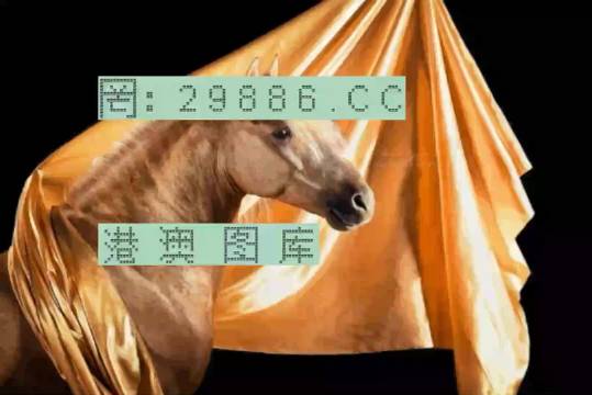 7777788888精准跑狗图,灵活实施计划_铂金版84.31