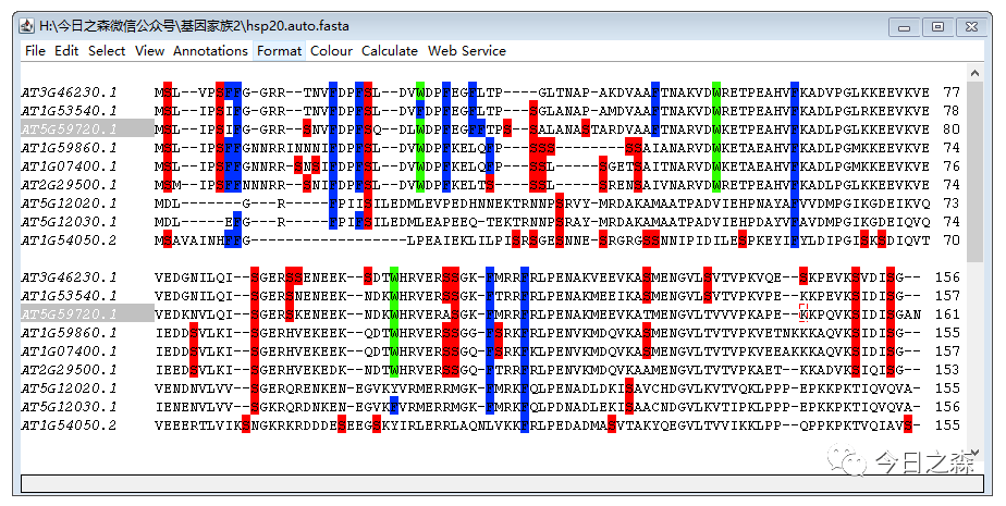 王中王72385.cσm.7229查询,持久性策略设计_HDR版56.303