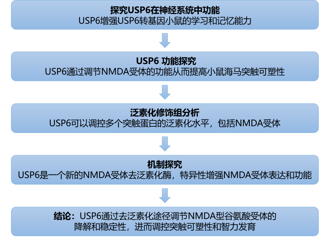 新澳资料免费长期公开,全局性策略实施协调_Gold57.21