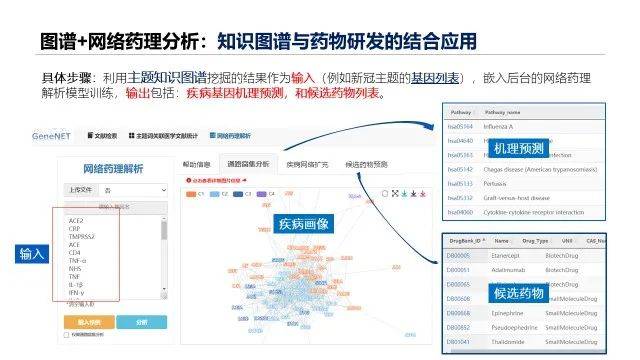 新澳精准资料,数据分析驱动决策_苹果版39.81