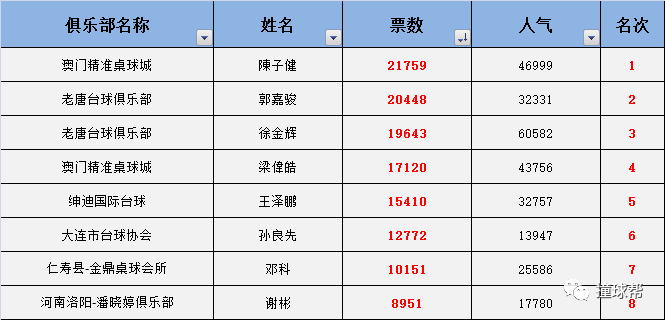 澳门一码中精准一码的投注技巧,专业分析说明_定制版49.876