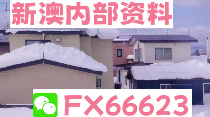 新澳内部资料精准一码波色表,动态词汇解析_DX版94.159