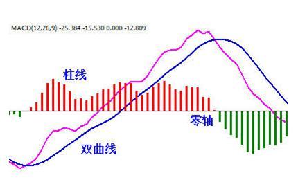 2004新奥精准资料免费提供,实时解析说明_BT81.667