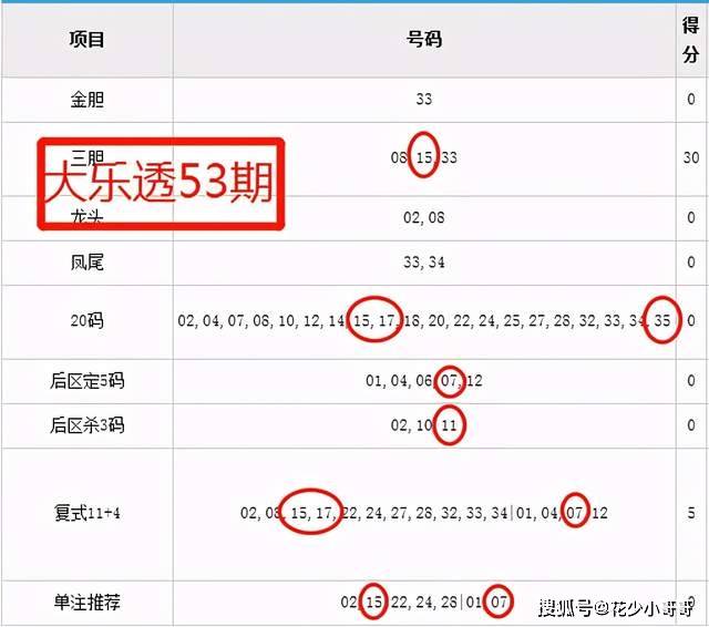 2024年今晚开奖结果查询,实地设计评估解析_微型版13.59