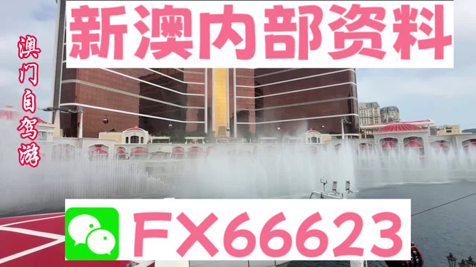 新澳内部一码精准公开,实地研究数据应用_专业版35.940