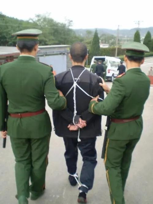 全员死刑下载，法律与人性的严峻挑战