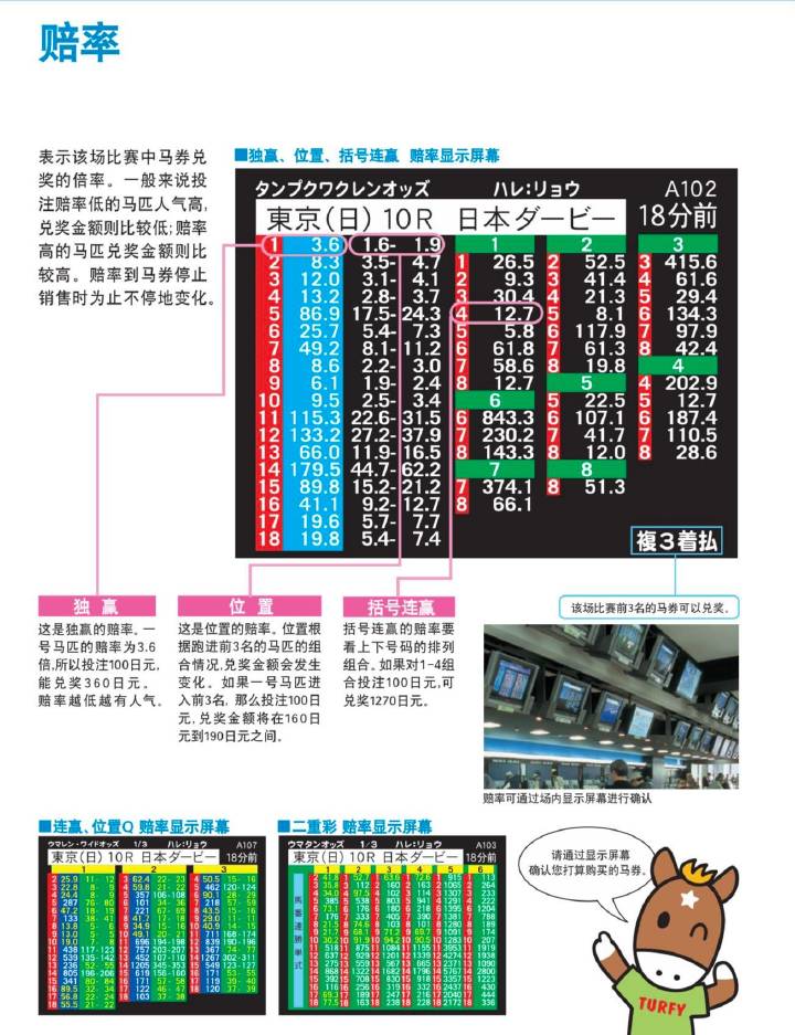 马会传真,适用策略设计_基础版36.91