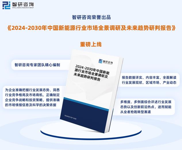 新澳2024年正版资料,数据导向设计解析_Gold40.969