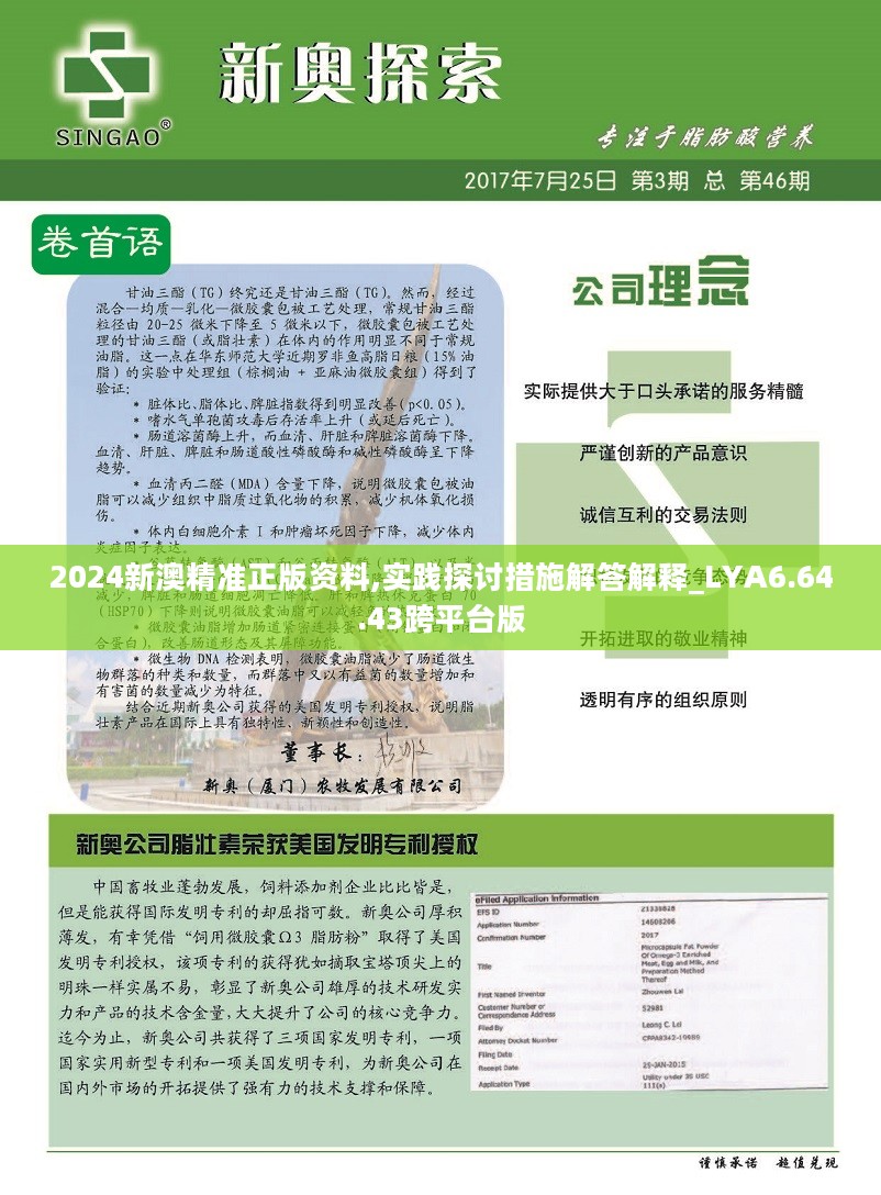 2024新澳最精准资料,安全策略评估_3D86.502