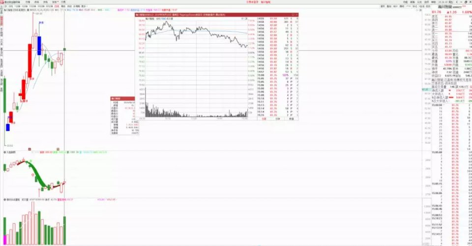 今晚澳门特马开什么号码,诠释分析定义_豪华版73.720