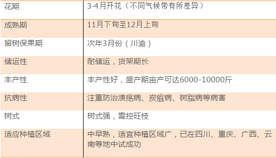 新澳门今晚开奖结果+开奖,诠释说明解析_NE版67.979