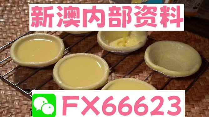 新澳精准资料免费提供网站,动态词语解释落实_专属版57.651