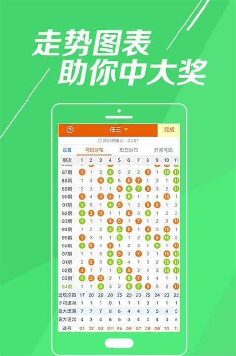 王中王一肖一特一中一澳,精细执行计划_复刻版37.310