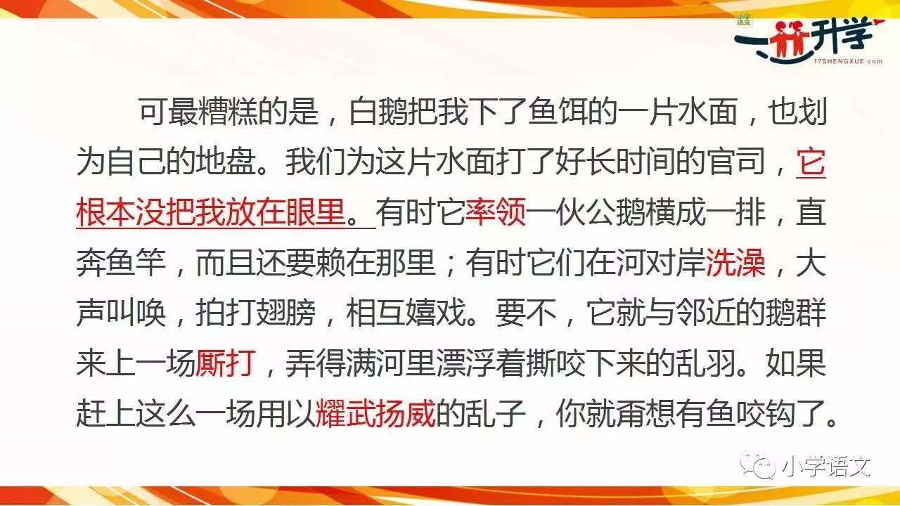 白小姐资料大全+正版资料白小姐奇缘四肖,整体规划执行讲解_超值版51.167