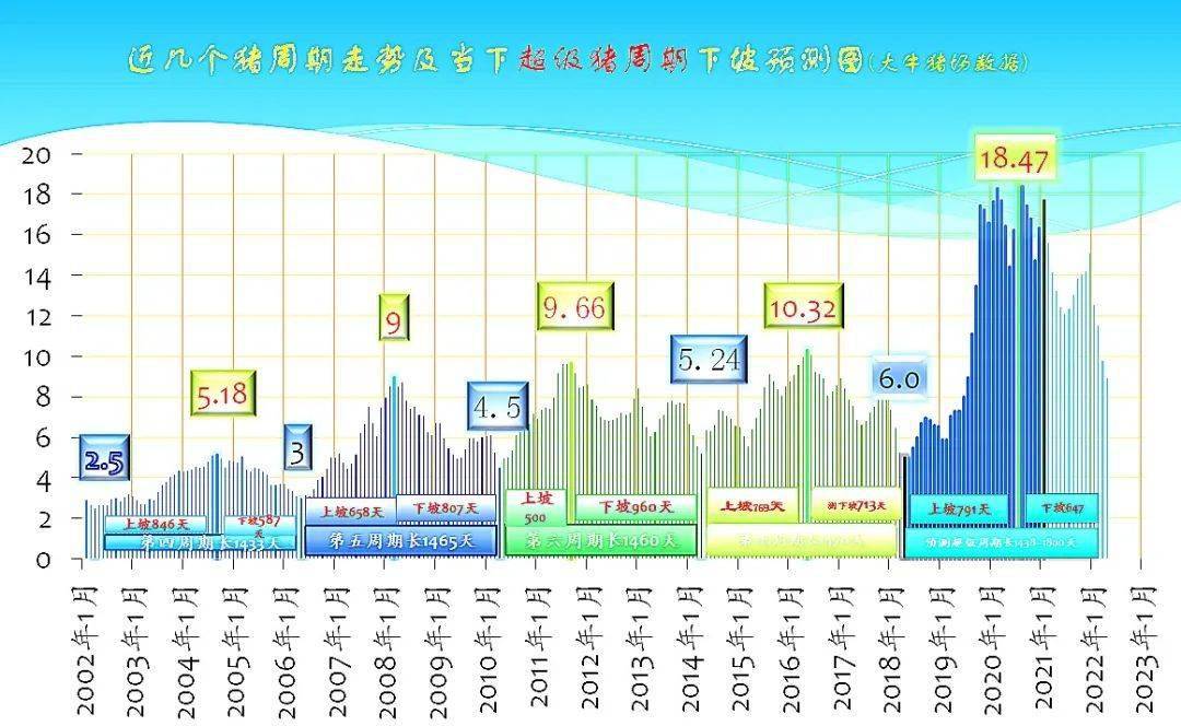 澳门精准正版四不像,战略性实施方案优化_顶级款80.330