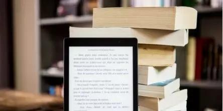 新澳门今晚开奖结果开奖记录查询,稳定性计划评估_Kindle71.671