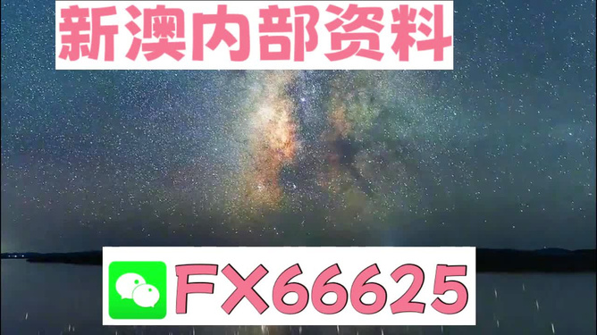 2024新澳天天彩资料大全,灵活性策略解析_tool51.412