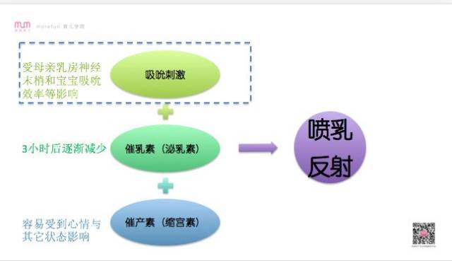 2024新澳门今晚开特马直播,理论分析解析说明_Tizen94.790