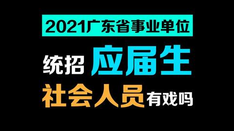 广东无心磨招聘最新动态与解析概览