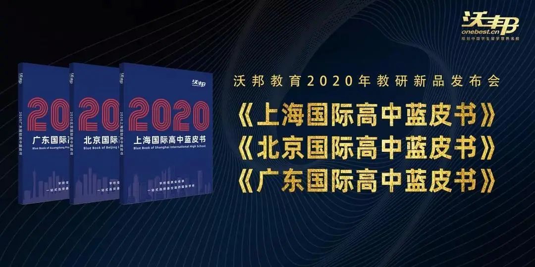 新澳2024正版免费资料,详细解读定义方案_KP19.730