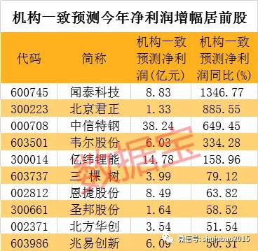 2024年新奥特开奖记录查询表,功能性操作方案制定_创意版2.362