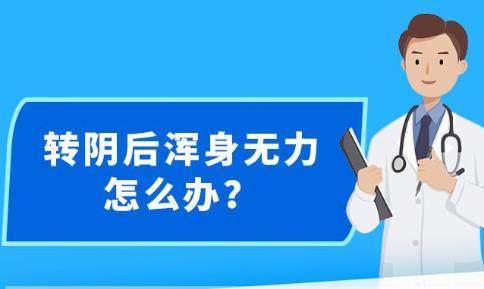 新澳精准资料免费提供,标准化实施评估_粉丝版28.736