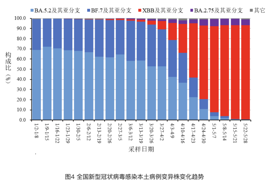 2024新澳门天天开好彩,全面执行分析数据_豪华款70.127