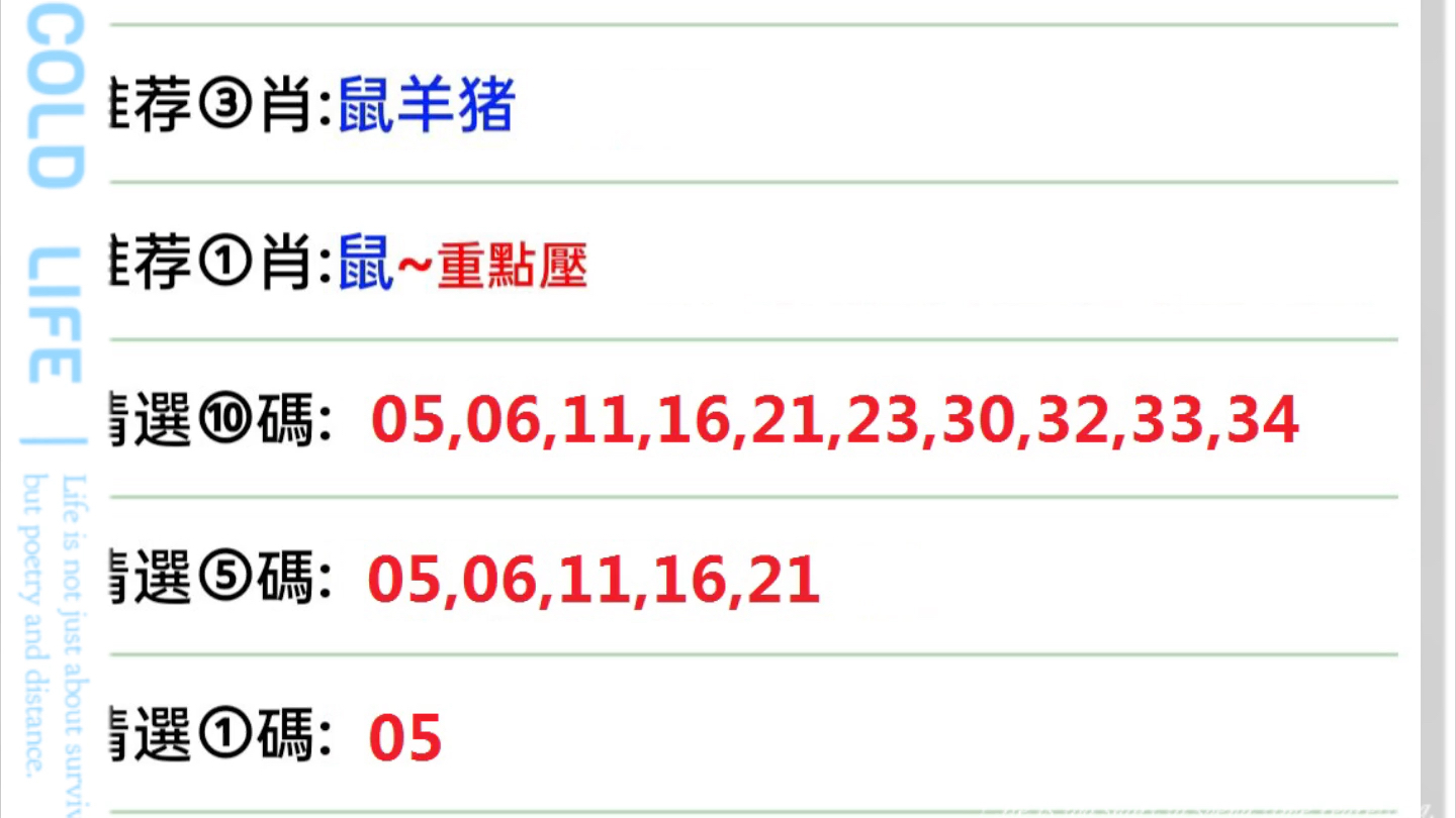 税务筹划 第6页